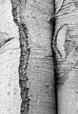 Intimacy 9